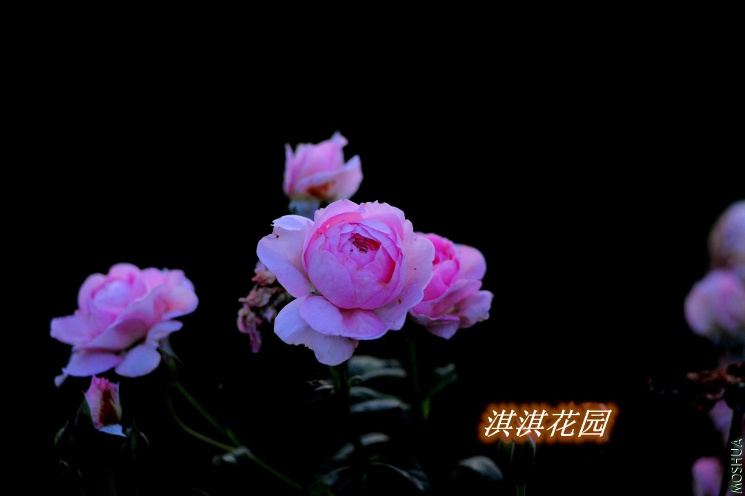 076_����.jpg