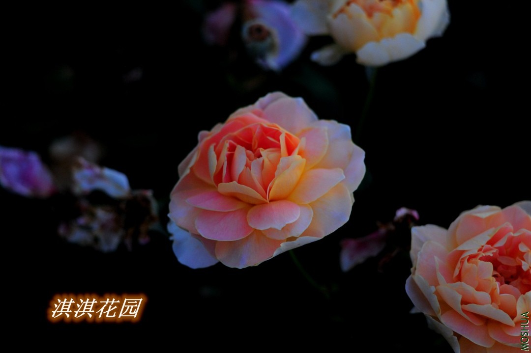 086_����.jpg