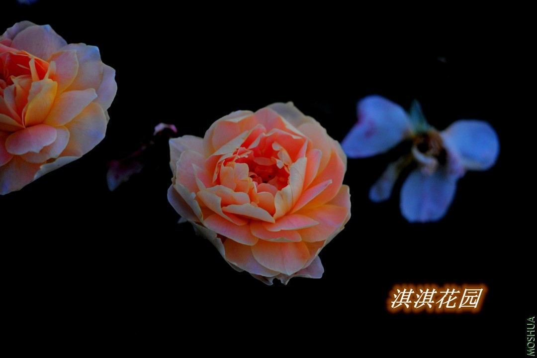 089_����.jpg