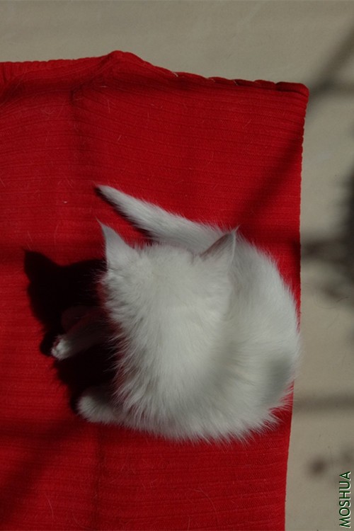 IMG20180924114819.jpg