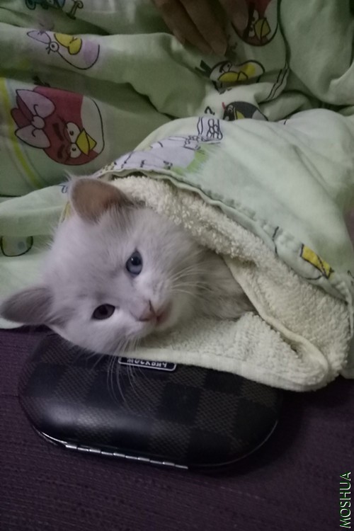 IMG20180922205216.jpg