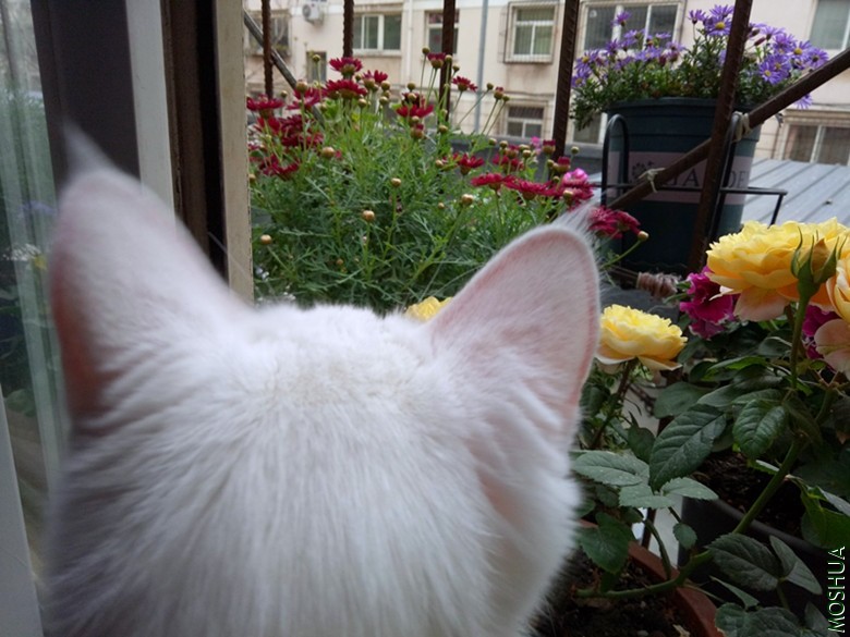 QQͼƬ20190429154626.jpg