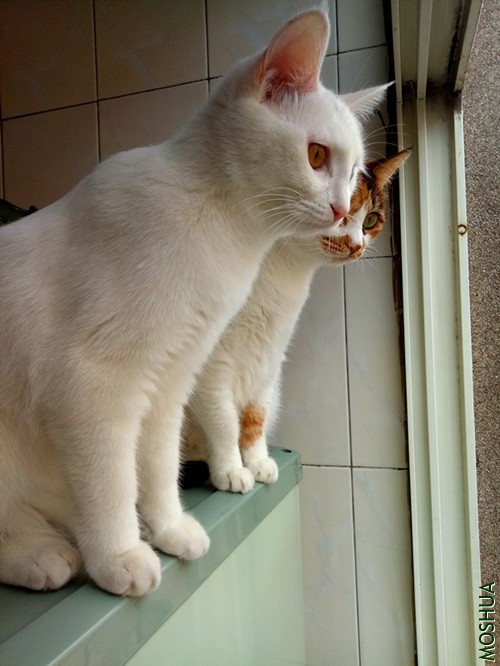 QQͼƬ20190429154510.jpg