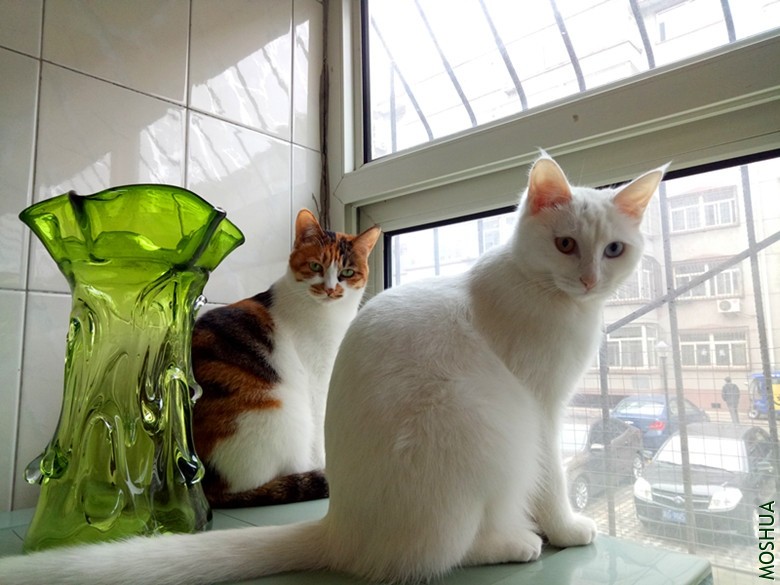 QQͼƬ20190429154513.jpg