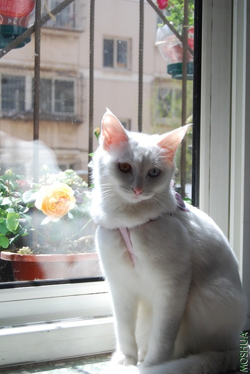 DSC_0137_����.jpg