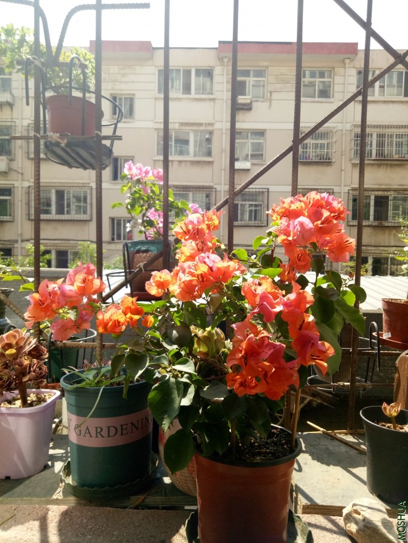 IMG20190908111514.jpg