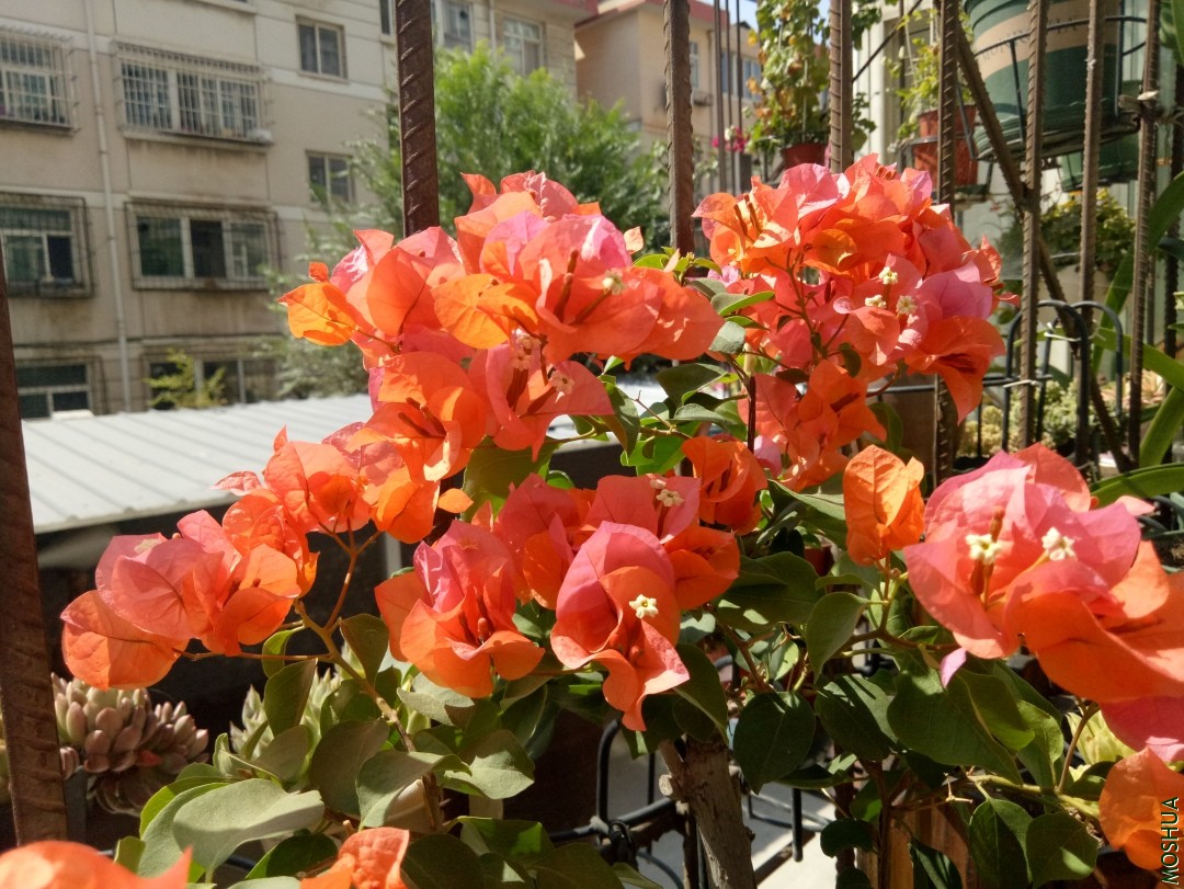 IMG20190908111316.jpg