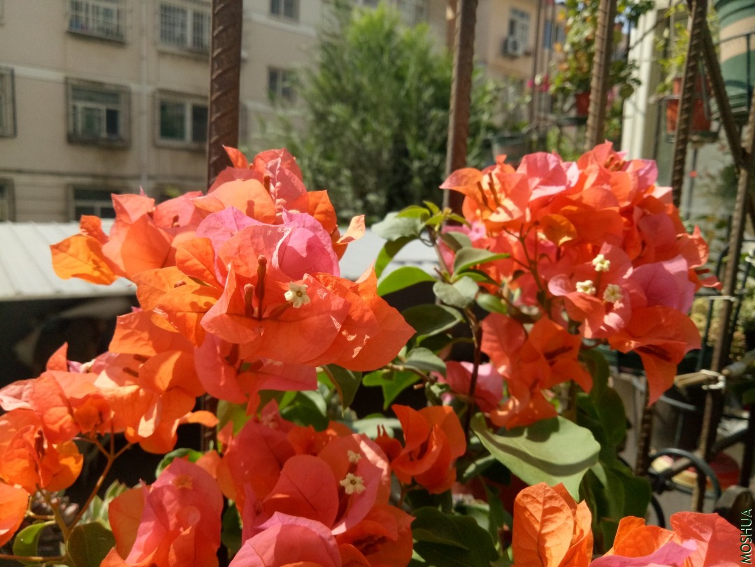 IMG20190908111304.jpg