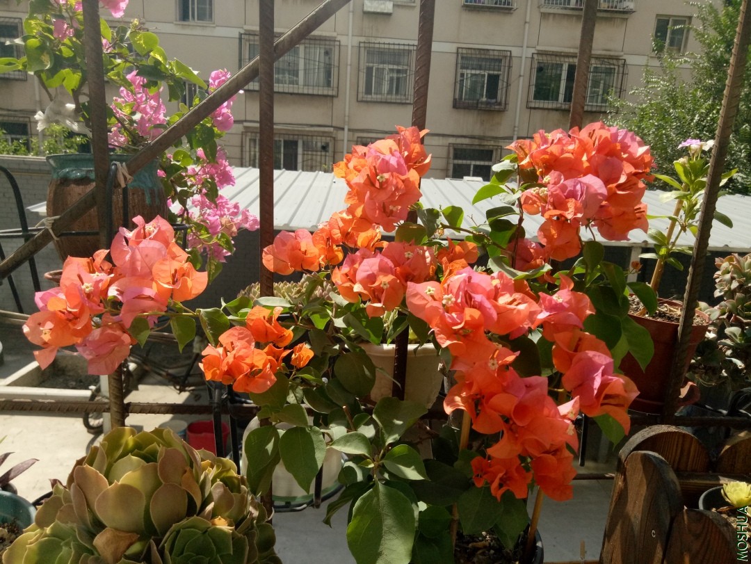 IMG20190908111232.jpg