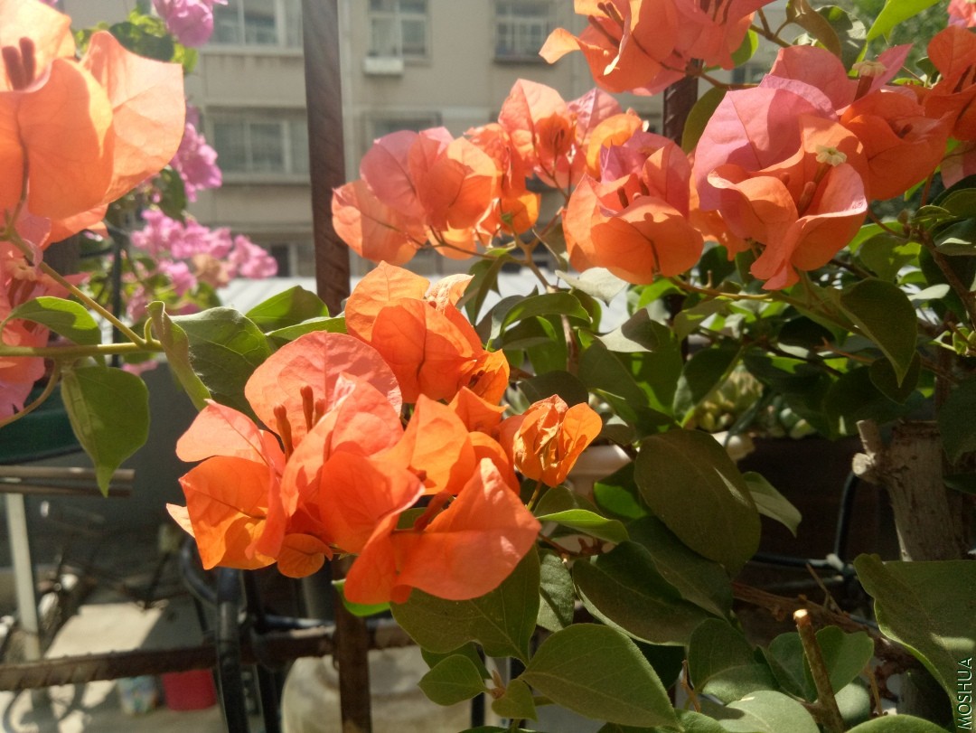 IMG20190908111159.jpg