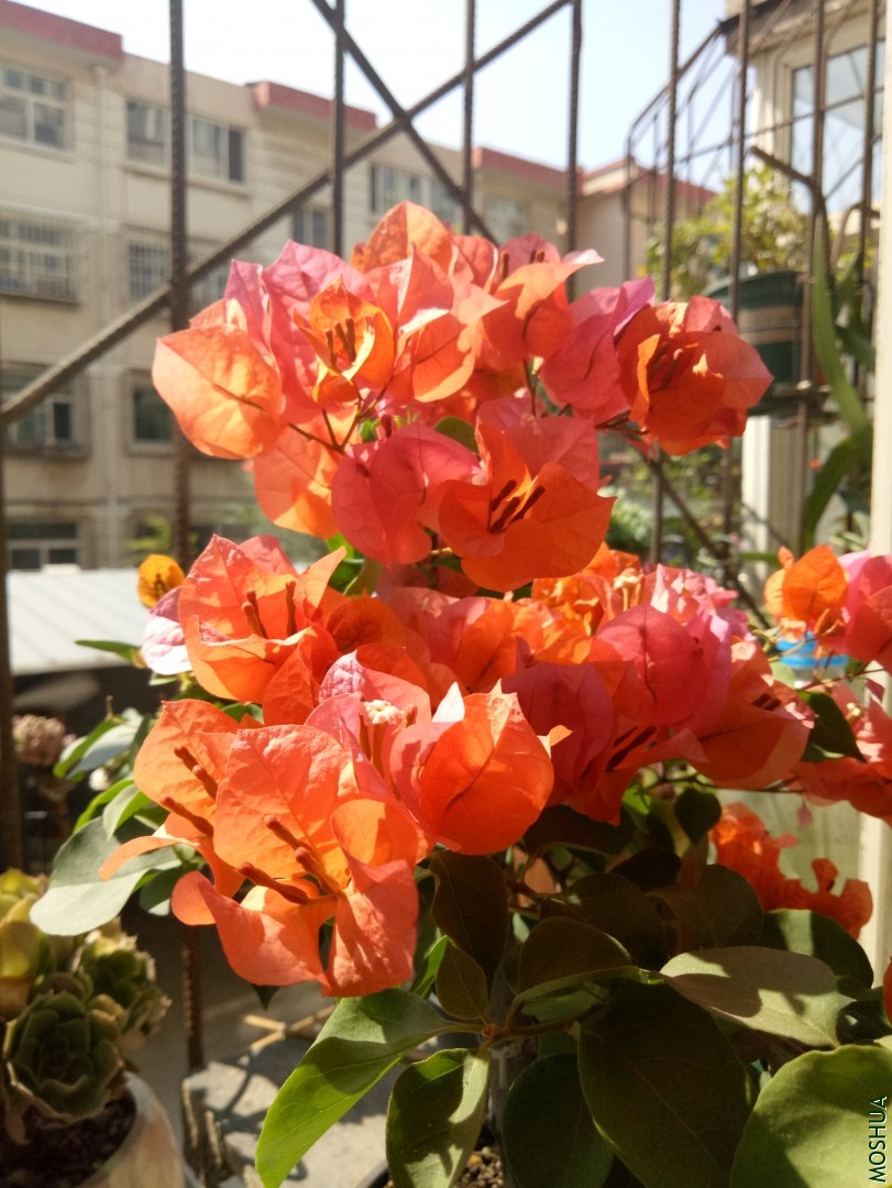 IMG20190908110446.jpg