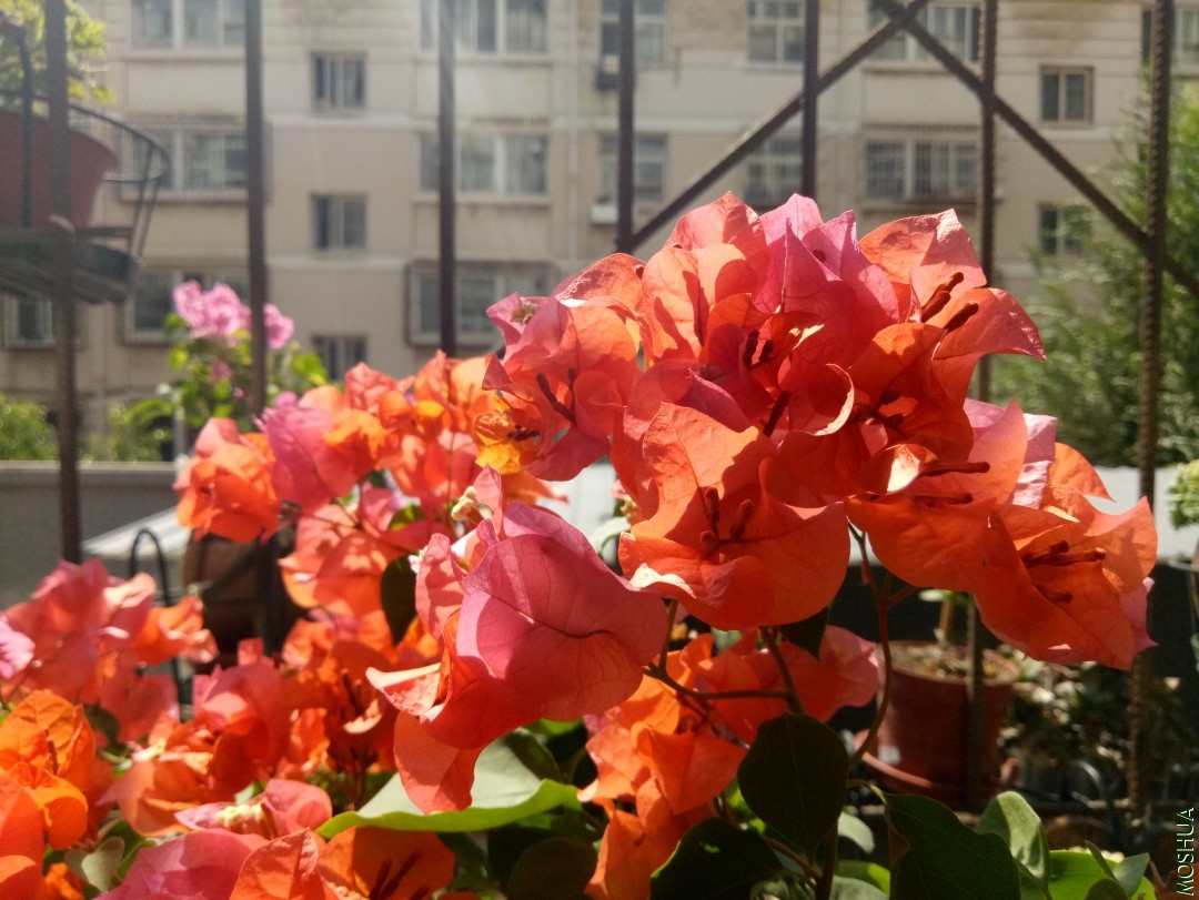 IMG20190908110430.jpg