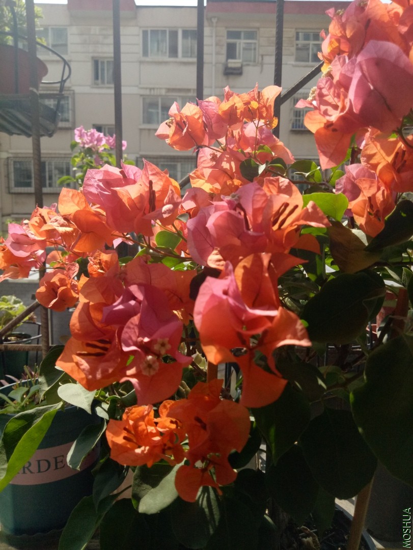 IMG20190908110418.jpg