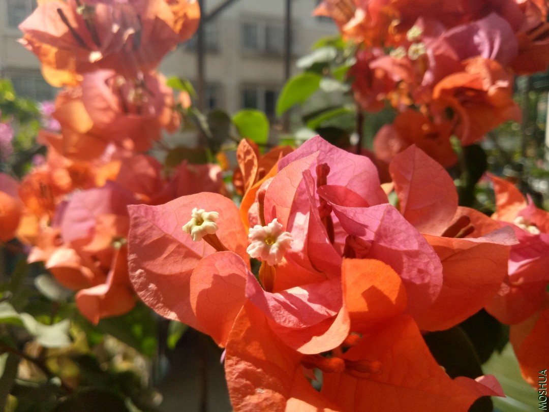 IMG20190908110330.jpg