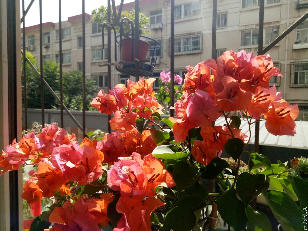 IMG20190908110314.jpg