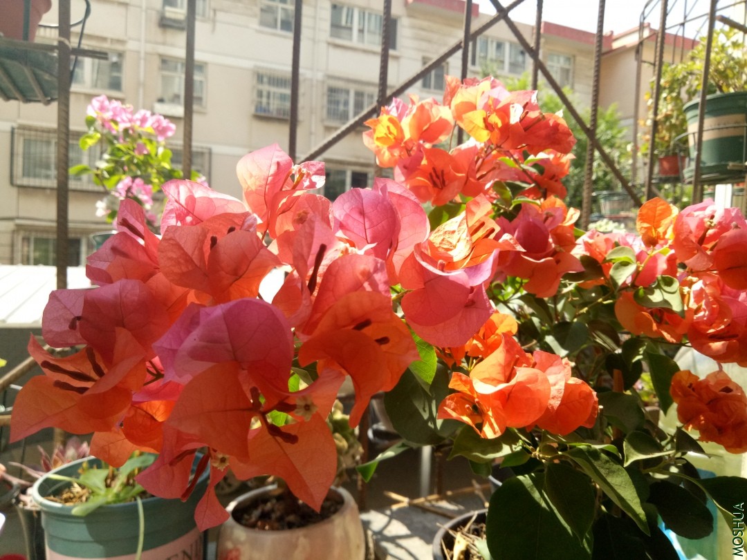 IMG20190908110244.jpg