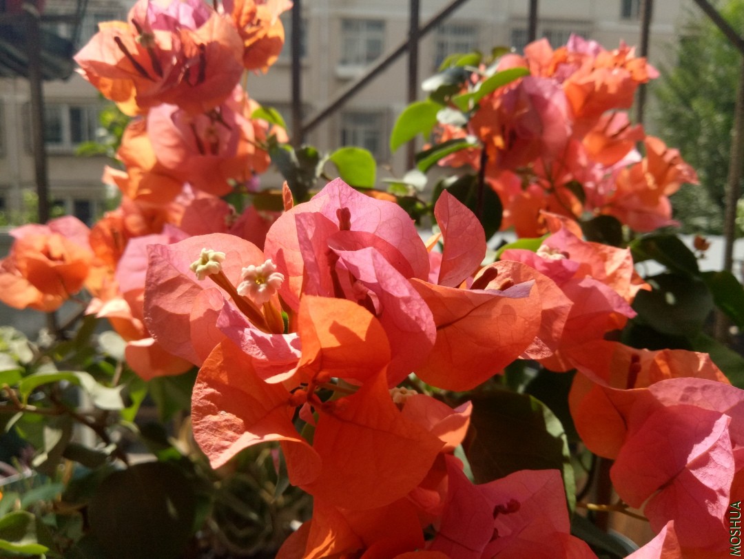 IMG20190908110207.jpg