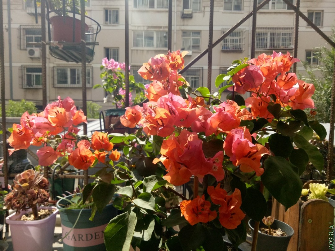 IMG20190908110137.jpg