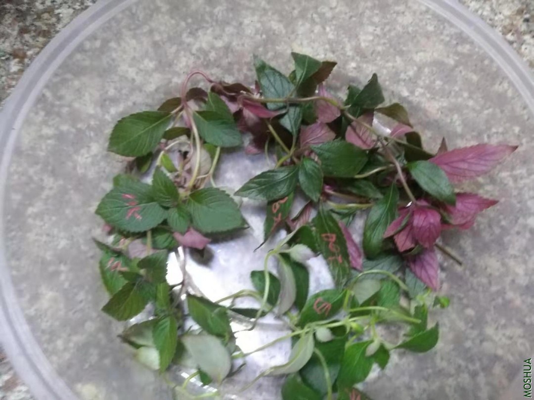΢��ͼƬ_20190909144649.jpg