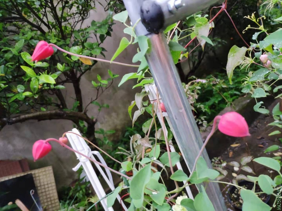 ΢��ͼƬ_20190902190045.jpg