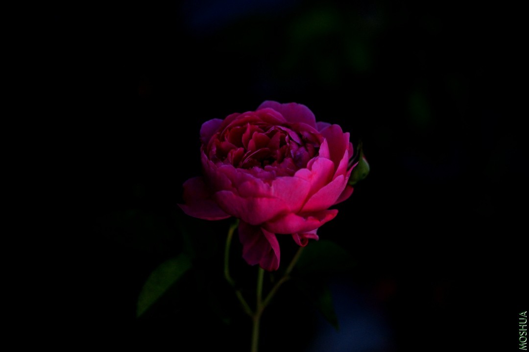 095_����.jpg