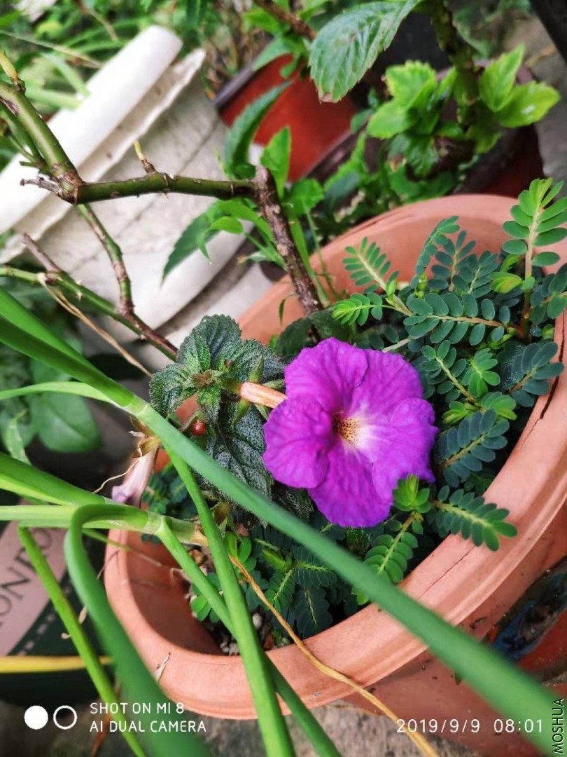 ΢��ͼƬ_20190910153319.jpg