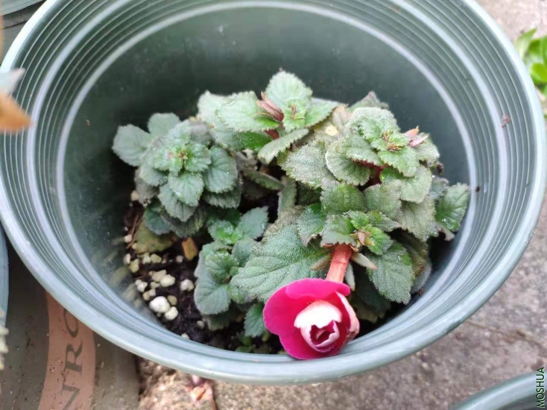 ΢��ͼƬ_20190910153313.jpg