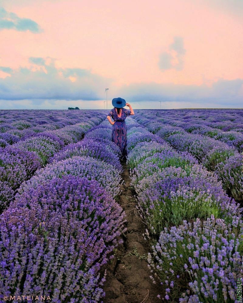 Ana-in-Lavender-Field-Bulgaria.jpg