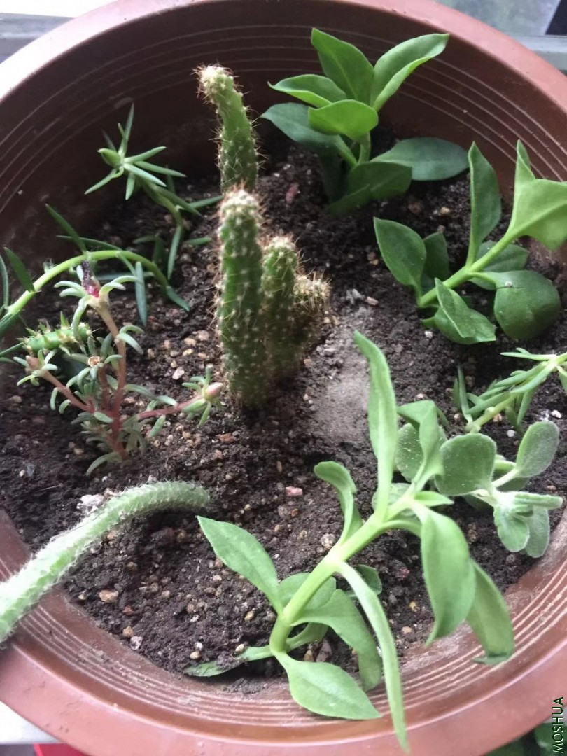 ΢��ͼƬ_20190912155254.jpg