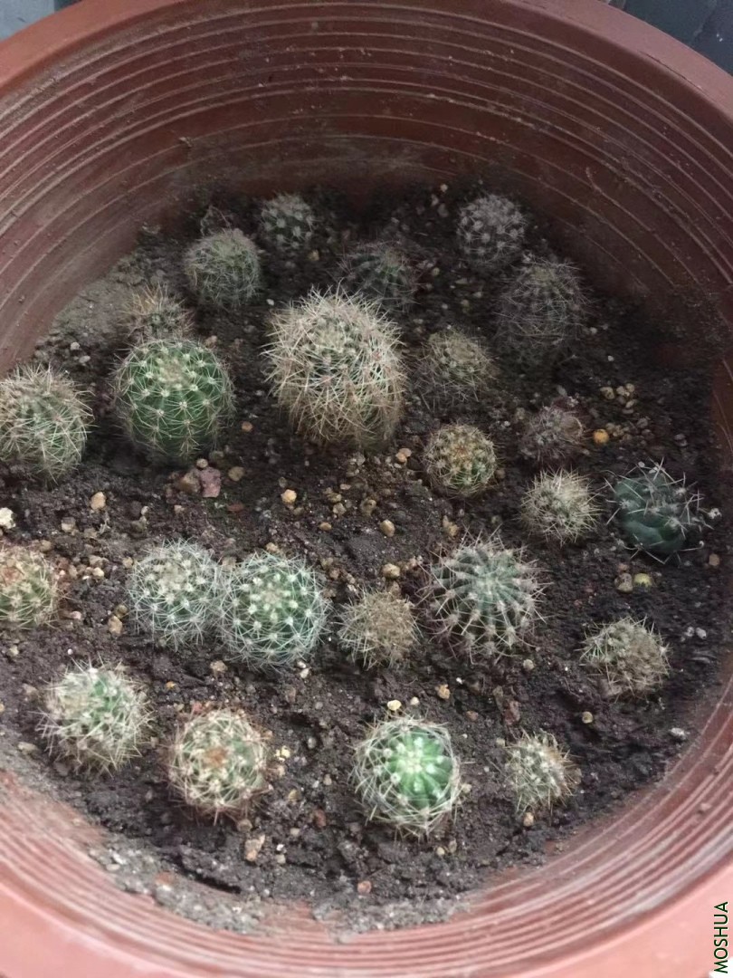 ΢��ͼƬ_20190912155300.jpg