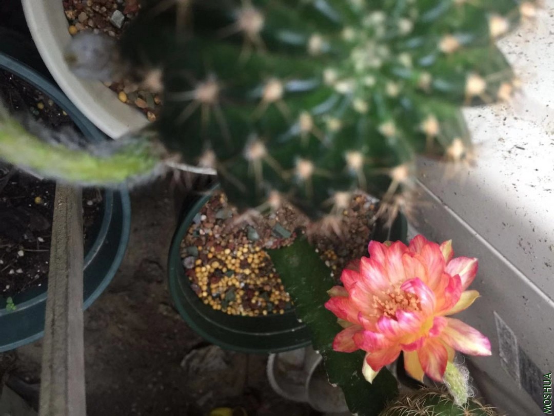 ΢��ͼƬ_20190912155305.jpg