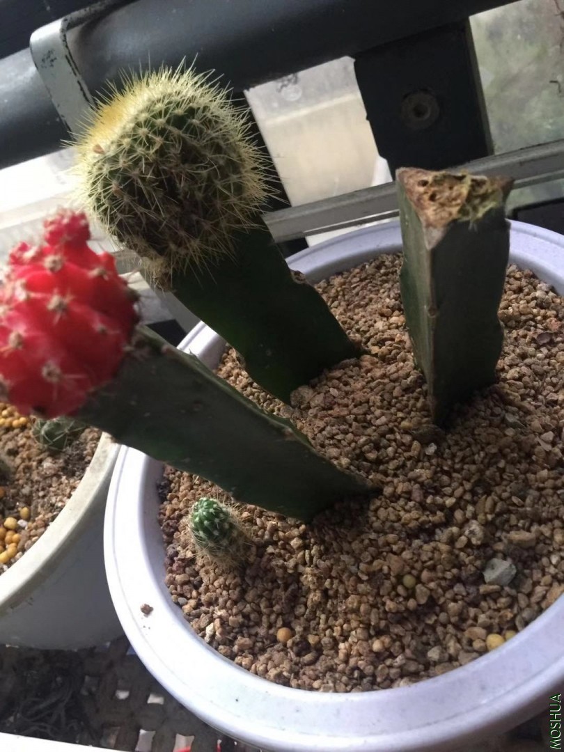 ΢��ͼƬ_20190912155310.jpg