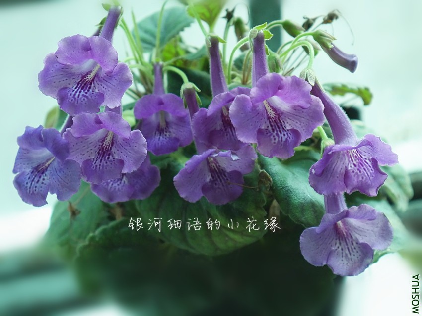 P1000465_����.jpg