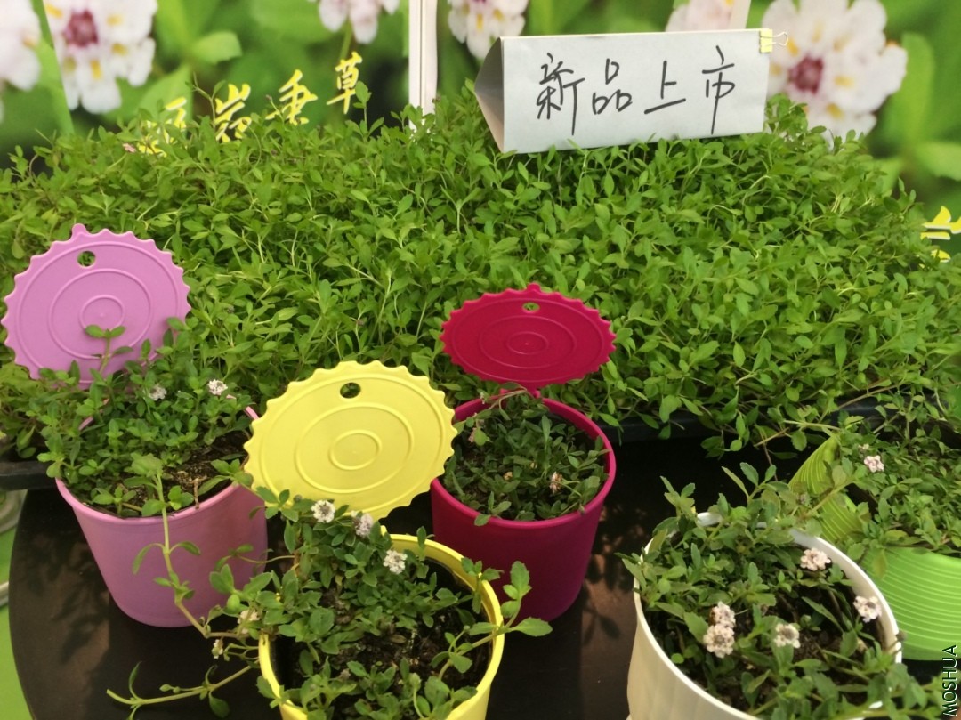 2014-04-25 151128.jpg