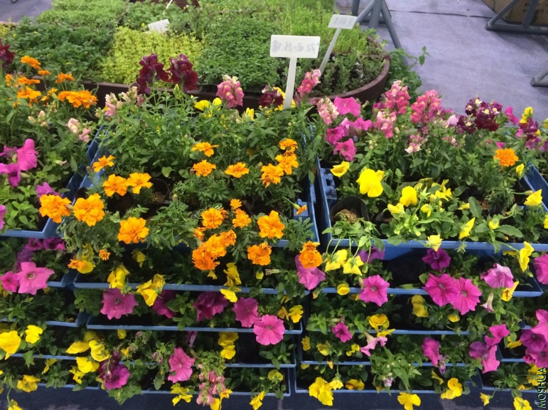 2014-04-25 162132.jpg