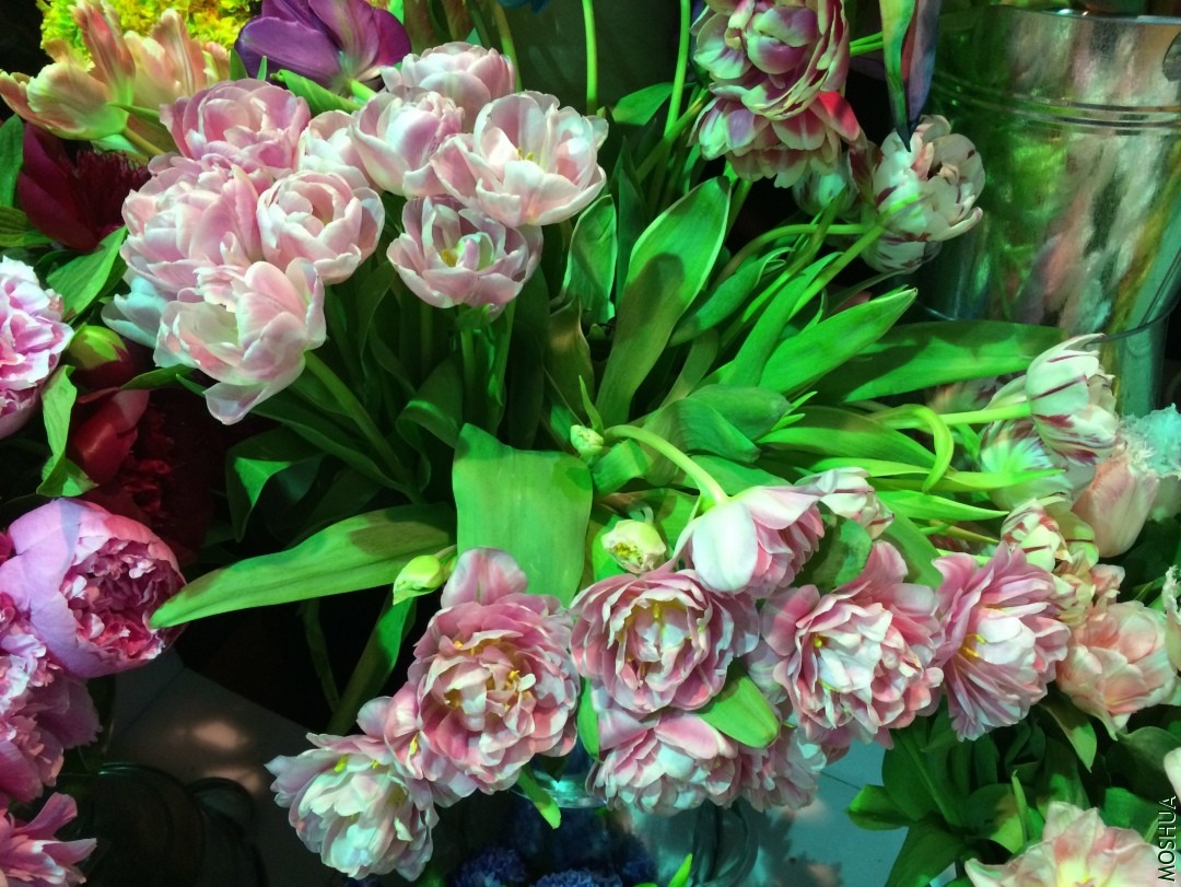 2014-04-25 165556.jpg