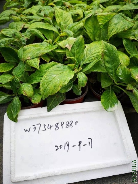 ΢��ͼƬ_20190917165817.jpg