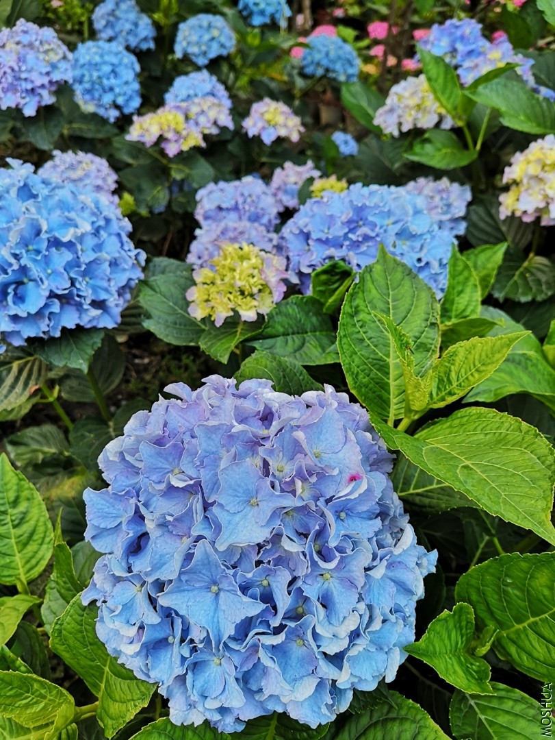 IMG_20190522_190851.jpg