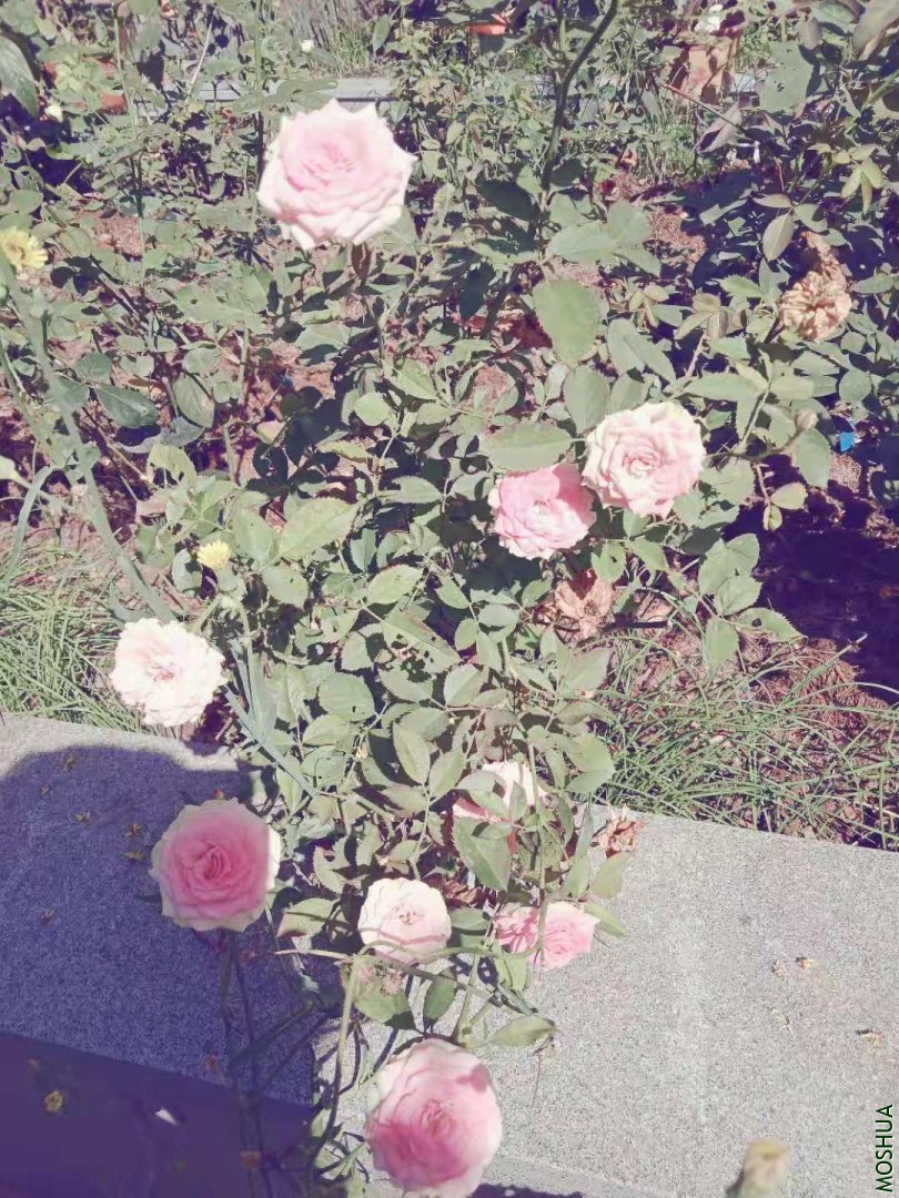 ����
