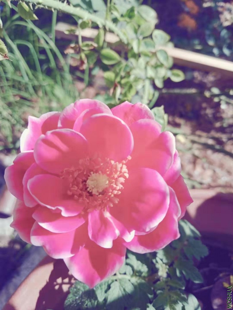 ����