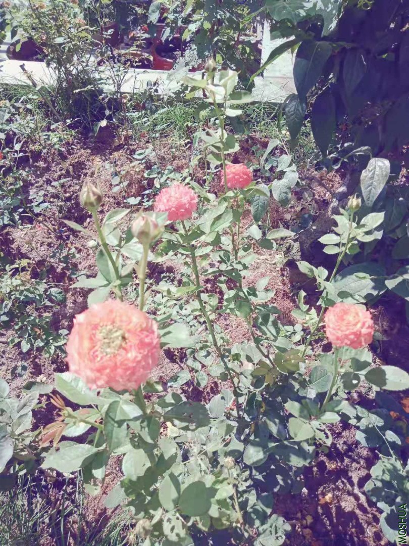 ΢��ͼƬ_20190918100409.jpg