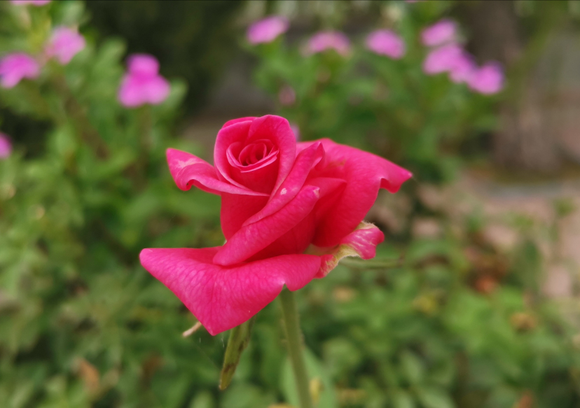 IMG_20190918_121545.jpg