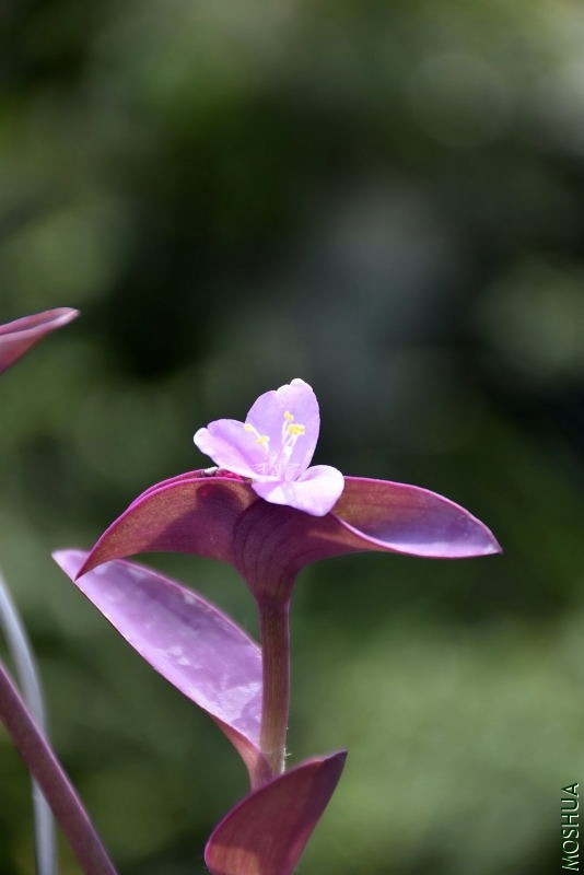_DSC00900090.JPG