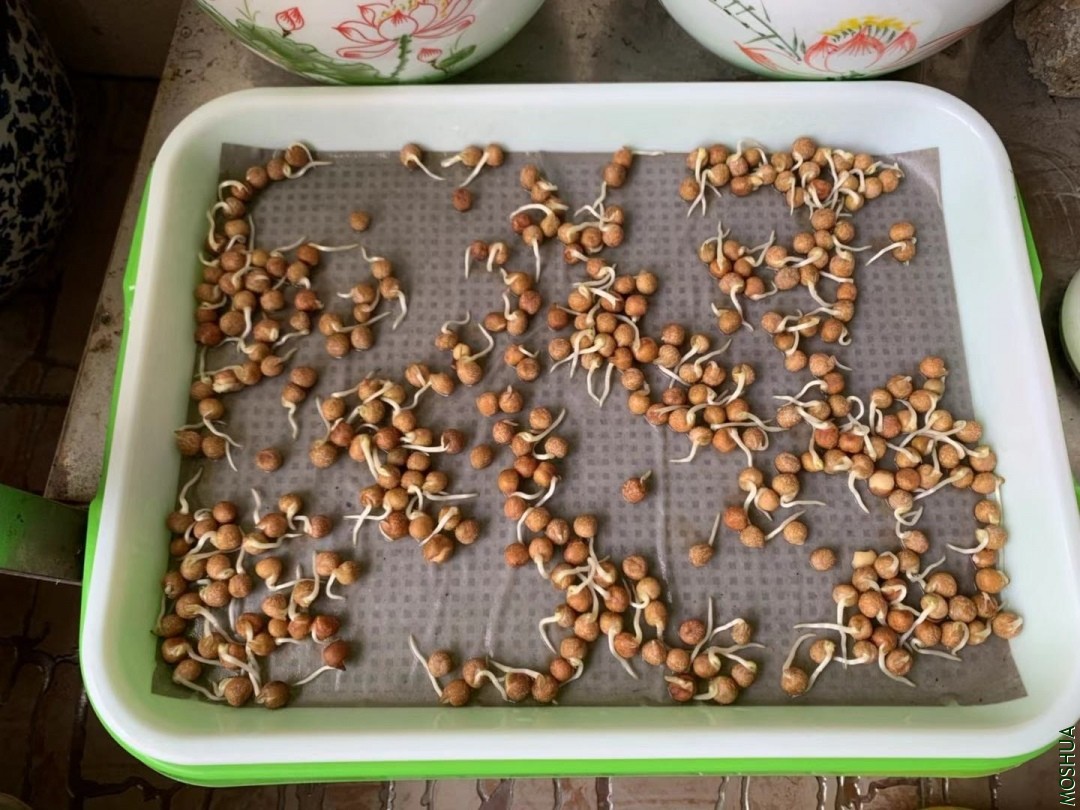 ΢��ͼƬ_201909191239091.jpg