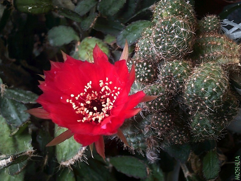 DSCF0001_����.jpg
