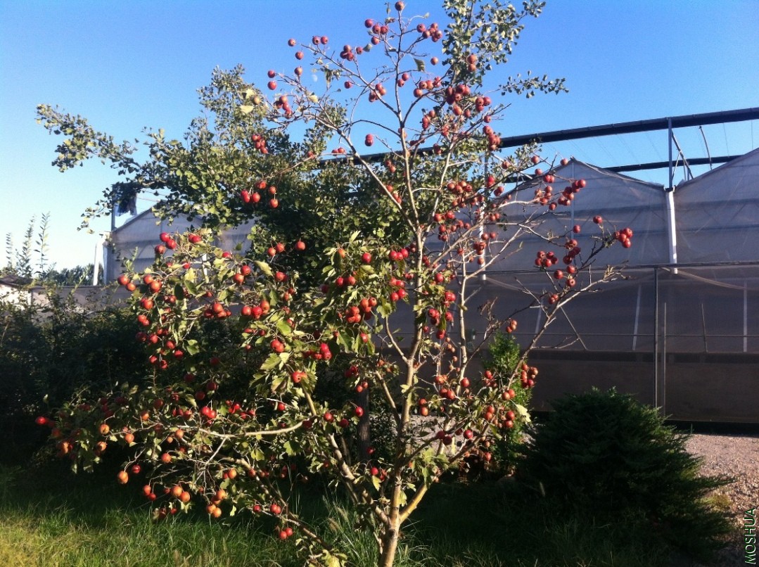 2013-09-14 164513.jpg