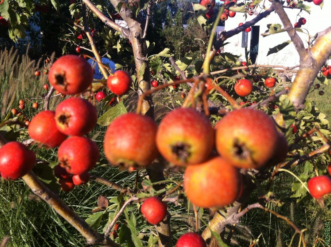 2013-09-14 164530.jpg