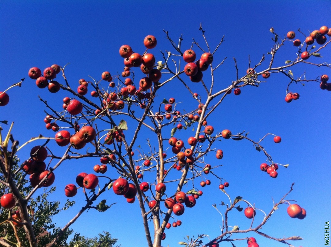 2013-09-14 164544.jpg