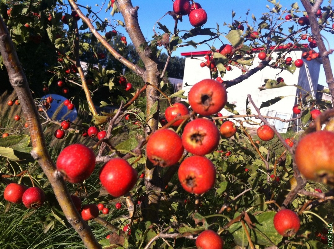 2013-09-14 164541.jpg