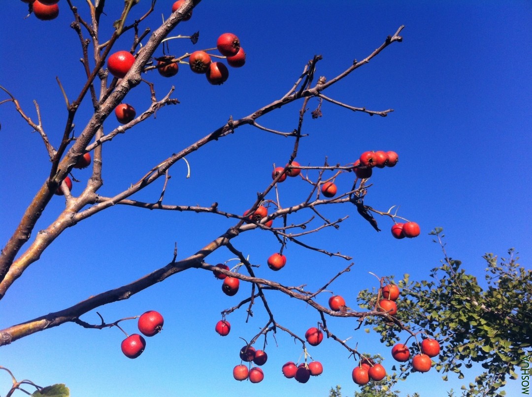 2013-09-14 164548.jpg